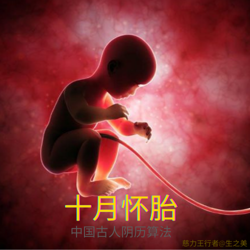 十月怀胎 • 慈力王行者